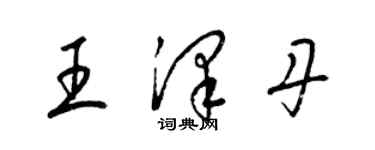 梁錦英王澤丹草書個性簽名怎么寫