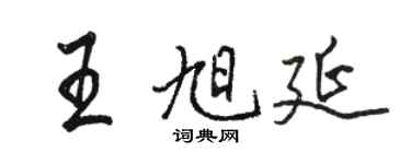 駱恆光王旭延行書個性簽名怎么寫
