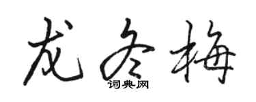 駱恆光龍冬梅行書個性簽名怎么寫