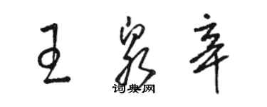 駱恆光王泉辛草書個性簽名怎么寫