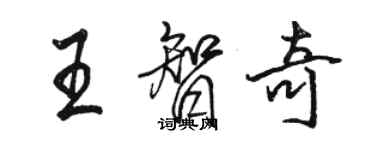 駱恆光王智奇行書個性簽名怎么寫