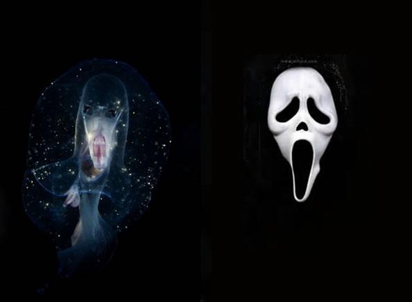 考古發現_探索發現_歷史考古