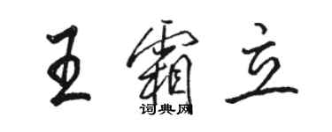 駱恆光王霜立行書個性簽名怎么寫