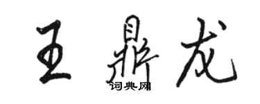 駱恆光王鼎龍行書個性簽名怎么寫