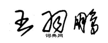 朱錫榮王羽鵬草書個性簽名怎么寫