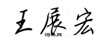 王正良王展宏行書個性簽名怎么寫