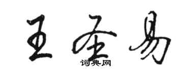 駱恆光王聖易行書個性簽名怎么寫