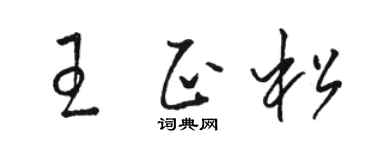 駱恆光王正松草書個性簽名怎么寫