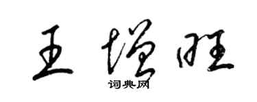 梁錦英王增旺草書個性簽名怎么寫