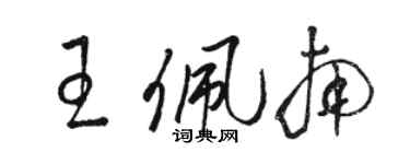 駱恆光王佩南草書個性簽名怎么寫