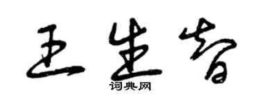 曾慶福王生智草書個性簽名怎么寫