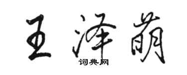 駱恆光王澤萌行書個性簽名怎么寫