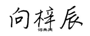 王正良向梓辰行書個性簽名怎么寫