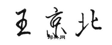 駱恆光王京北行書個性簽名怎么寫