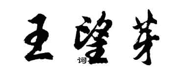 胡問遂王望芽行書個性簽名怎么寫