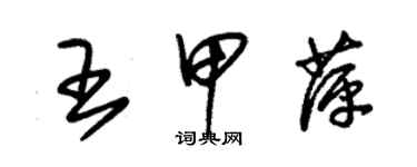 朱錫榮王甲萍草書個性簽名怎么寫