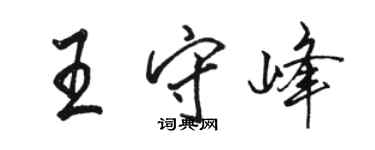 駱恆光王守峰行書個性簽名怎么寫