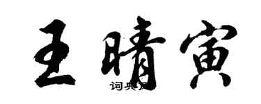 胡問遂王晴寅行書個性簽名怎么寫