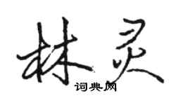駱恆光林靈行書個性簽名怎么寫