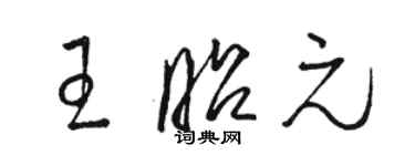 駱恆光王昭元草書個性簽名怎么寫