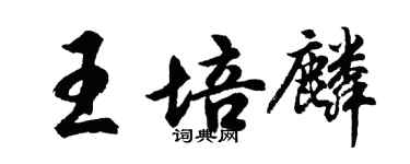 胡問遂王培麟行書個性簽名怎么寫