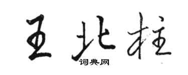 駱恆光王北柱行書個性簽名怎么寫