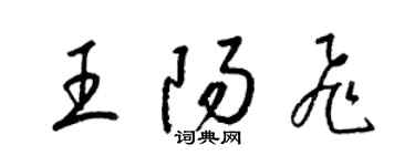 梁錦英王陽飛草書個性簽名怎么寫