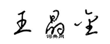 梁錦英王晶金草書個性簽名怎么寫