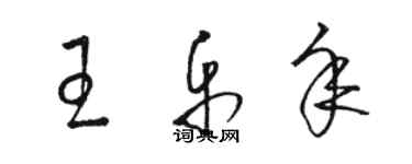 駱恆光王樂年草書個性簽名怎么寫