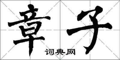 翁闓運章子楷書怎么寫