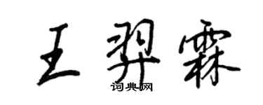 王正良王羿霖行書個性簽名怎么寫