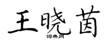 丁謙王曉茵楷書個性簽名怎么寫