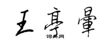 王正良王亭暈行書個性簽名怎么寫
