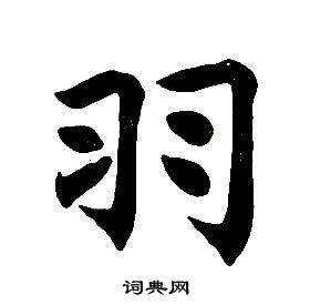 任政在楷書結構中寫的羽