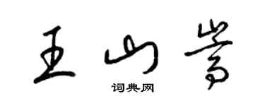 梁錦英王山嵩草書個性簽名怎么寫