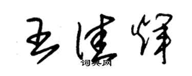 朱錫榮王佳輝草書個性簽名怎么寫