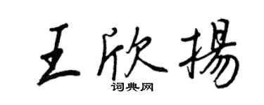 王正良王欣揚行書個性簽名怎么寫