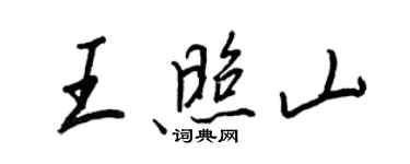 王正良王照山行書個性簽名怎么寫