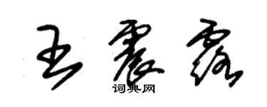 朱錫榮王震露草書個性簽名怎么寫