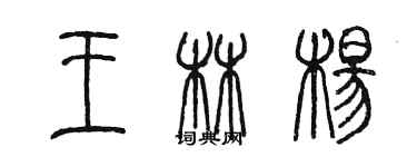 陳墨王林楊篆書個性簽名怎么寫