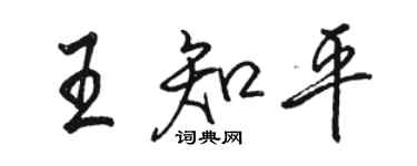 駱恆光王知平行書個性簽名怎么寫