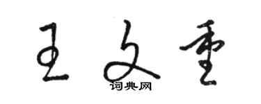 駱恆光王文重草書個性簽名怎么寫