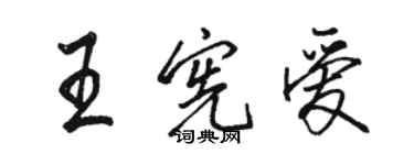 駱恆光王憲愛行書個性簽名怎么寫