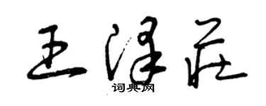 曾慶福王澤莊草書個性簽名怎么寫