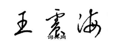 梁錦英王震海草書個性簽名怎么寫