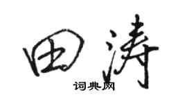 駱恆光田濤行書個性簽名怎么寫