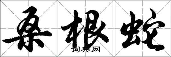 胡問遂桑根蛇行書怎么寫