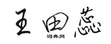 駱恆光王田蕊行書個性簽名怎么寫