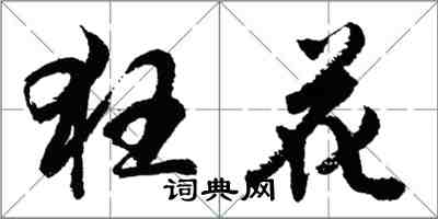 胡問遂狂花行書怎么寫