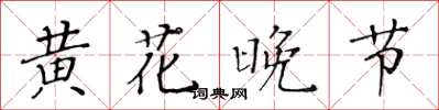 黃華生黃花晚節楷書怎么寫